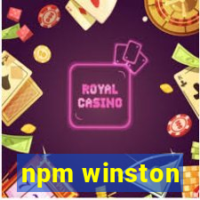 npm winston